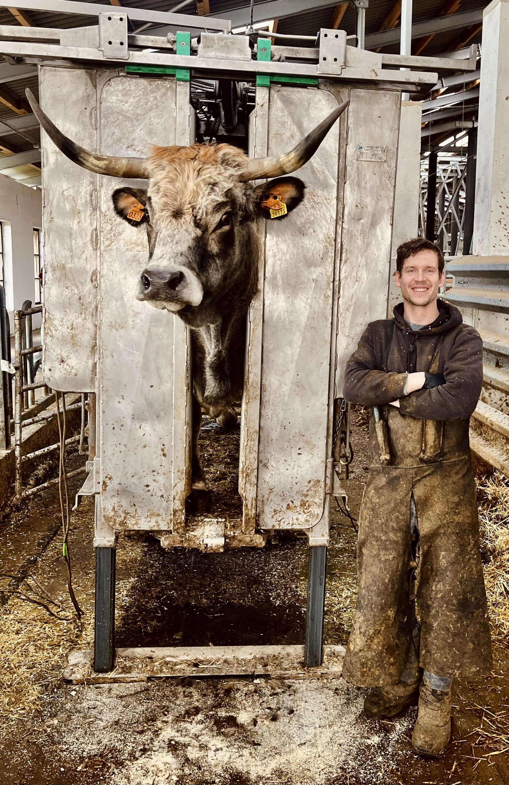 Paznehtářské služby